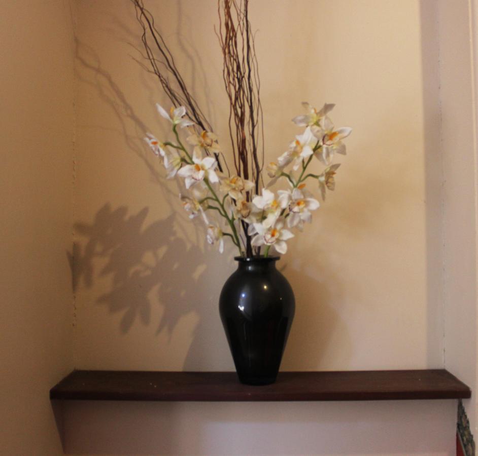סידני Burwood Bed And Breakfast מראה חיצוני תמונה